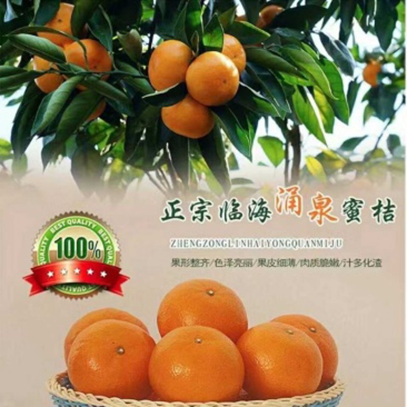 水果供应，如何应对季节性波动？