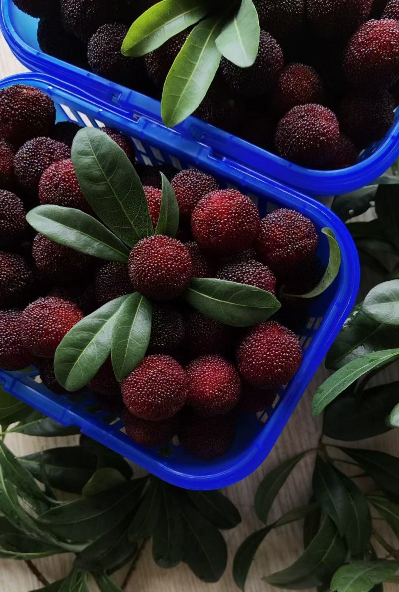 水果批发市场的竞争越来越激烈，如何在这个市场中脱颖而出？让我们通过对比分析几种常见的批发模式，帮助你找到最适合自己业务的方法。