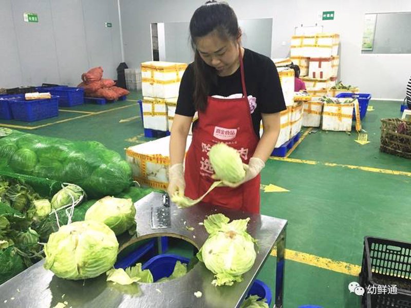 如何选择最佳的水果供应商？面对琳琅满目的水果市场，我们该如何挑选出最适合自己的供应商呢？